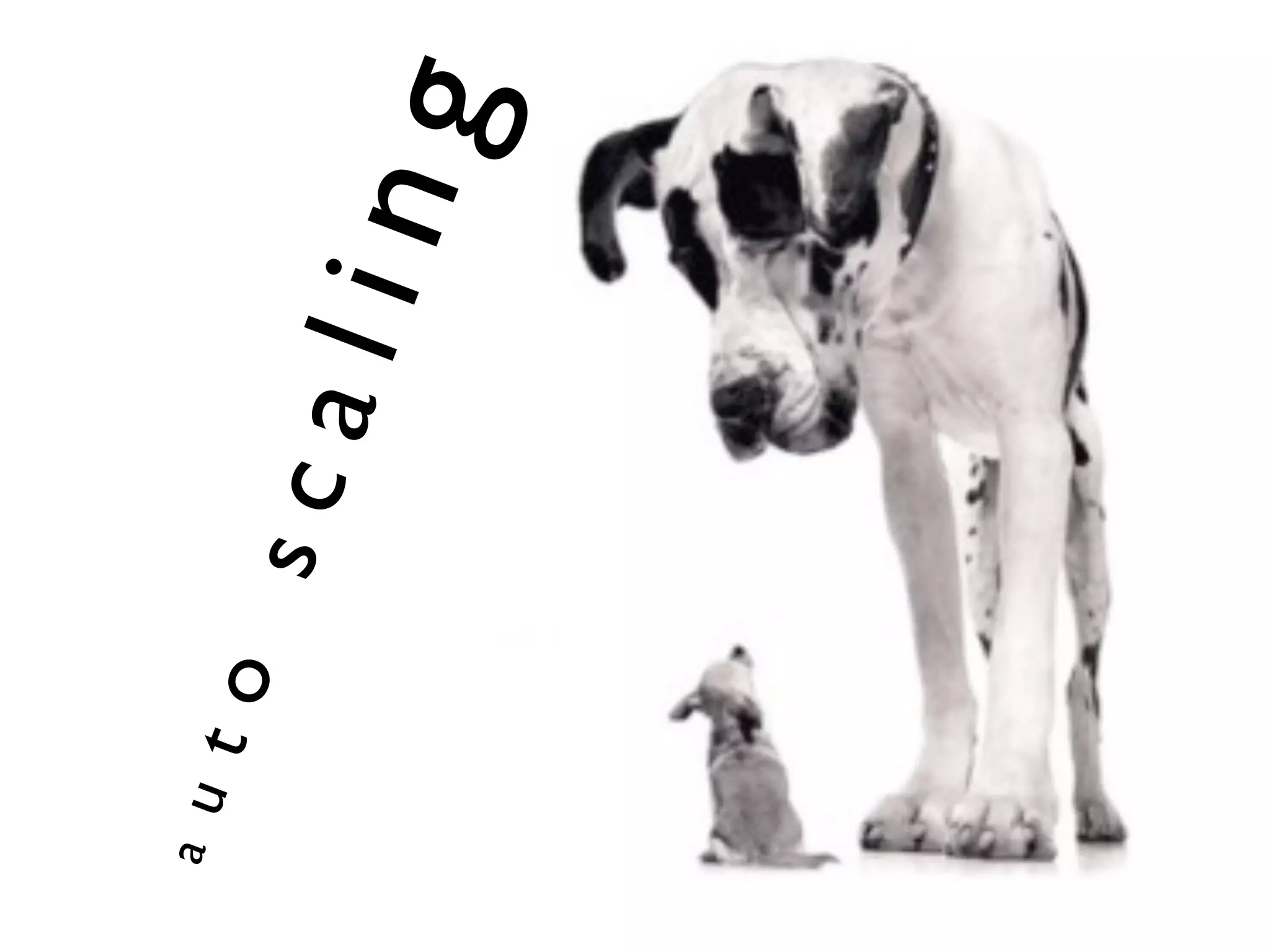 a   u t
          o
              sc
                   ali
                         ng
 