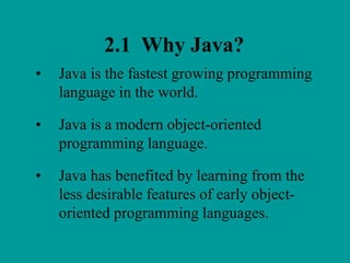 Java Chapter 2 Overview.ppt | Programming Languages | Computing