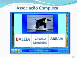 Associação Complexa 7/22 