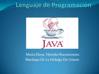 Lenguaje de Programación María Elena  Heredia Bracamontes Marilupe De La Hidalga De Uriarte  