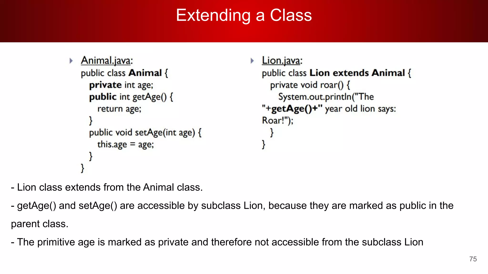 Extending a Class
75
- Lion class extends from the Animal class.
- getAge() and setAge() are accessible by subclass Lion, because they are marked as public in the
parent class.
- The primitive age is marked as private and therefore not accessible from the subclass Lion
 