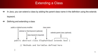 Extending a Class
74
➔ In Java, you can extend a class by adding the parent class name in the definition using the extends
keyword.
➔ Defining and extending a class
 
