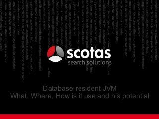 Database-resident JVM
What, Where, How is it use and his potential
 