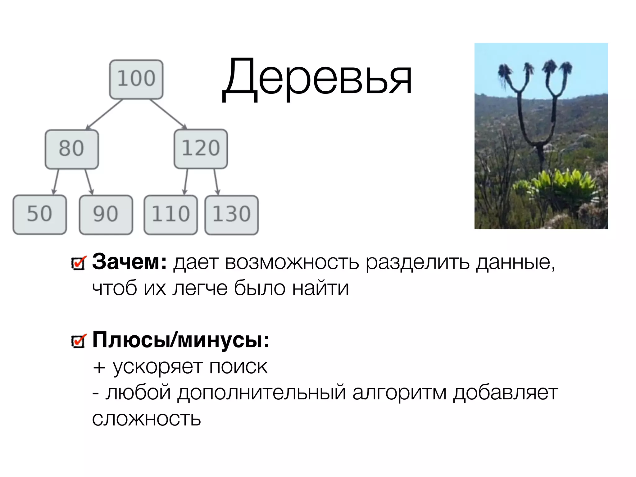 Деревья Зачем: дает возможность разделить данные, чтоб их легче было найти Плюсы/минусы:   + ускоряет поиск   - любой дополнительный алгоритм добавляет сложность 