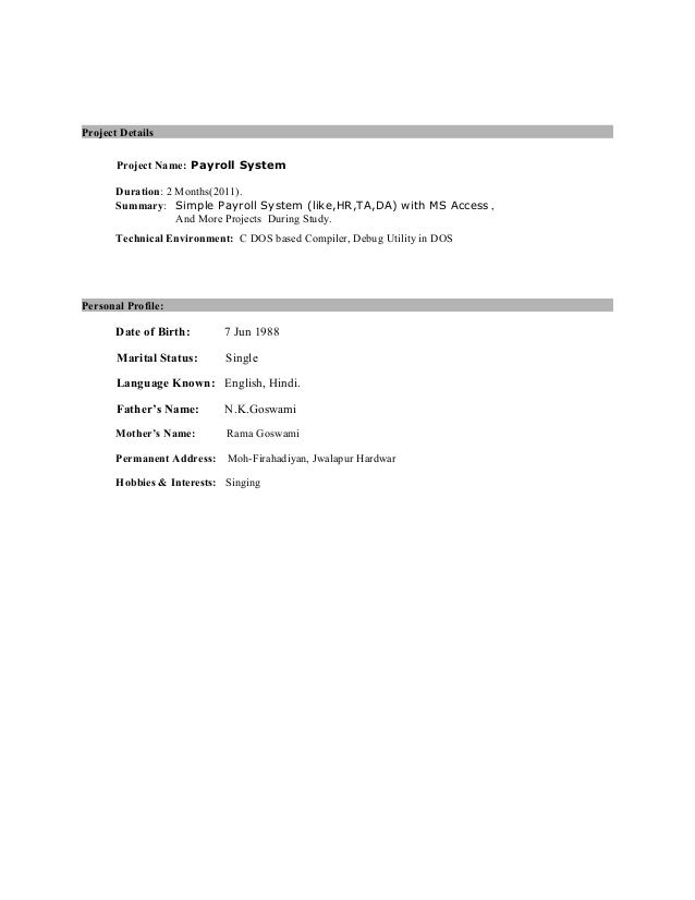 ms access developer resume