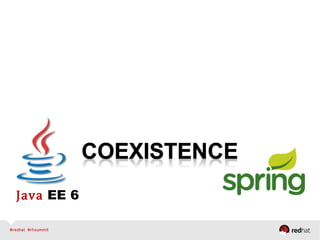 Java EE 6 and Spring coexistence
Java EE 6
Java EE 6 +
CDI PlugIns
Java EE 6 +
Spring Modules
CDI +
Spring
Spring +
CDI Pl...