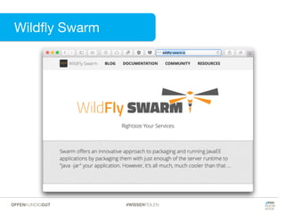 Wildﬂy Swarm
#WISSENTEILENOFFENKUNDIGGUT
 
