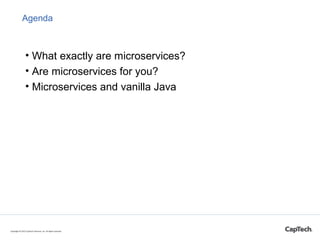 Agenda
• What exactly are microservices?
• Are microservices for you?
• Microservices and Java EE
Copyright © 2015 CapTech...