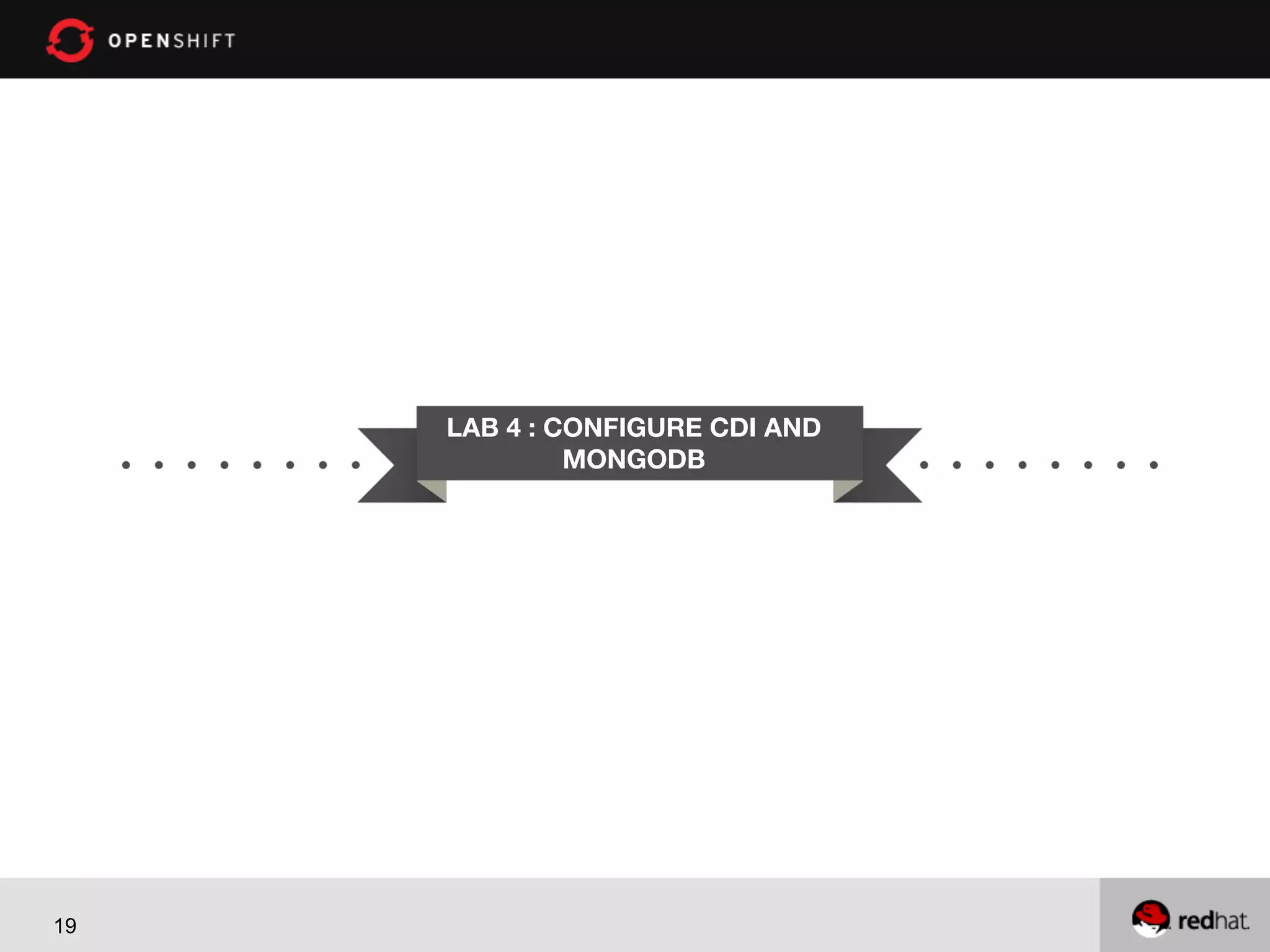 LAB 4 : CONFIGURE CDI AND
MONGODB 

19

 