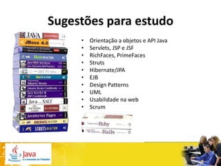 Sugestões para estudo
     •   Orientação a objetos e API Java
     •   Servlets, JSP e JSF
     •   RichFaces, PrimeFaces
     •   Struts
     •   Hibernate/JPA
     •   EJB
     •   Design Patterns
     •   UML
     •   Usabilidade na web
     •   Scrum
 