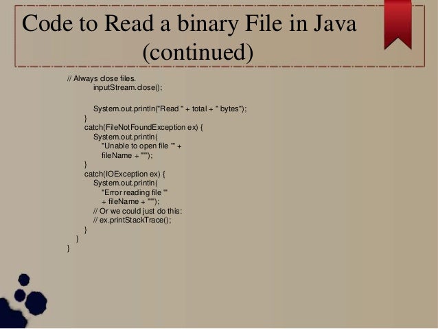 java read binary file example java read binary file example