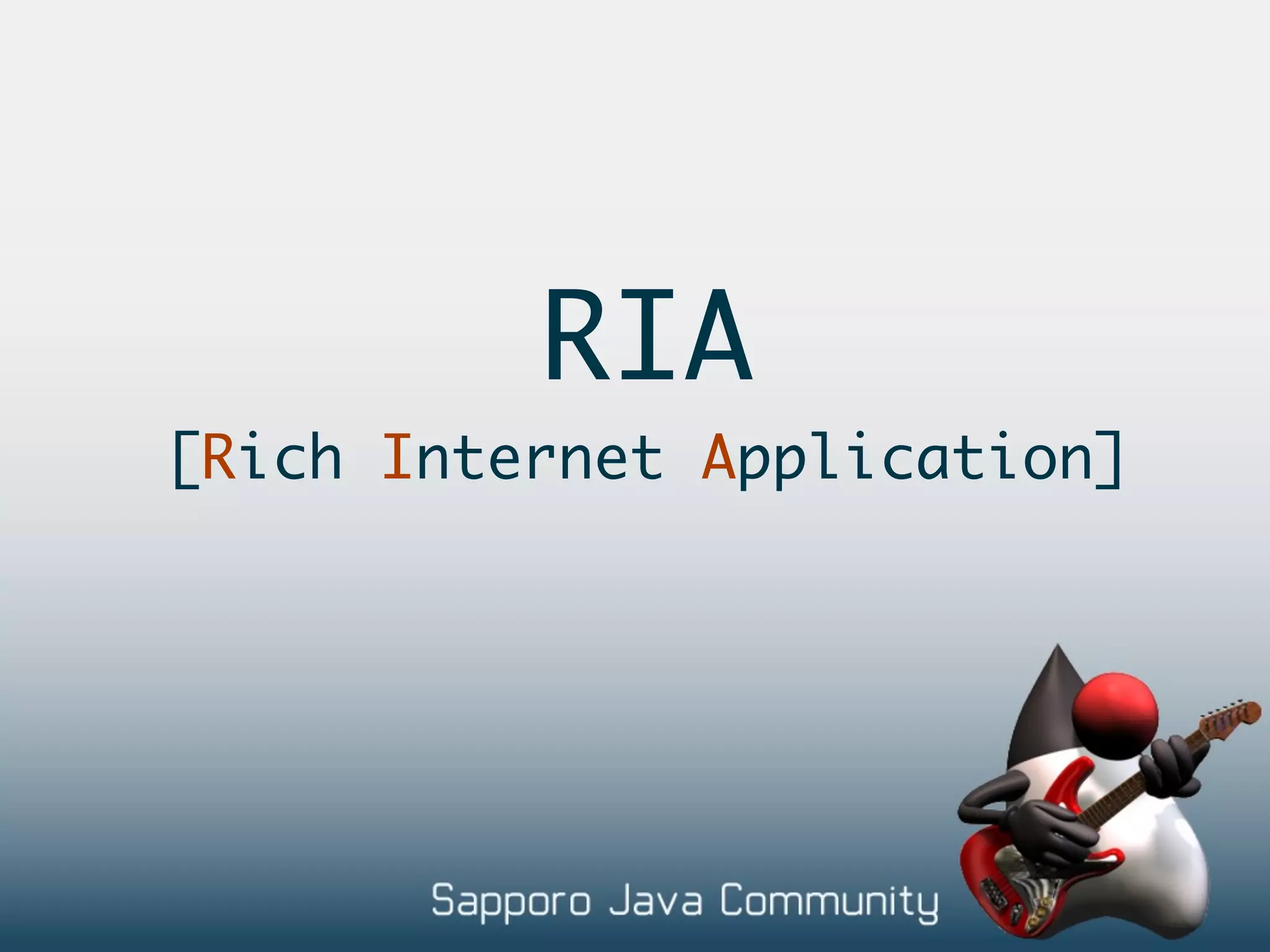 RIA [Rich Internet Application] 