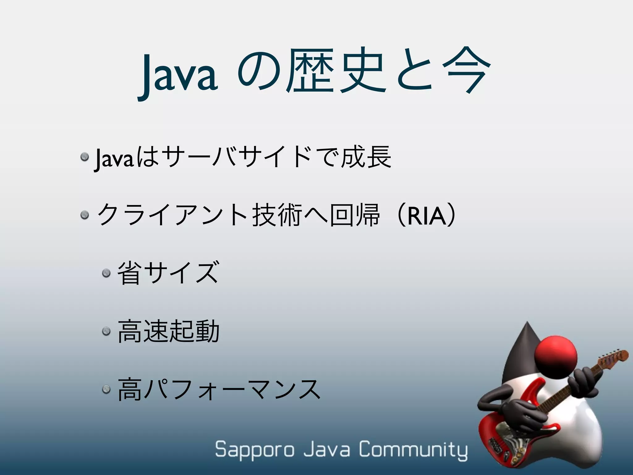 Java Java RIA 