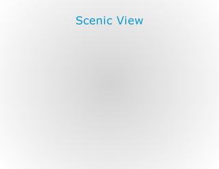 Scenic View

 
