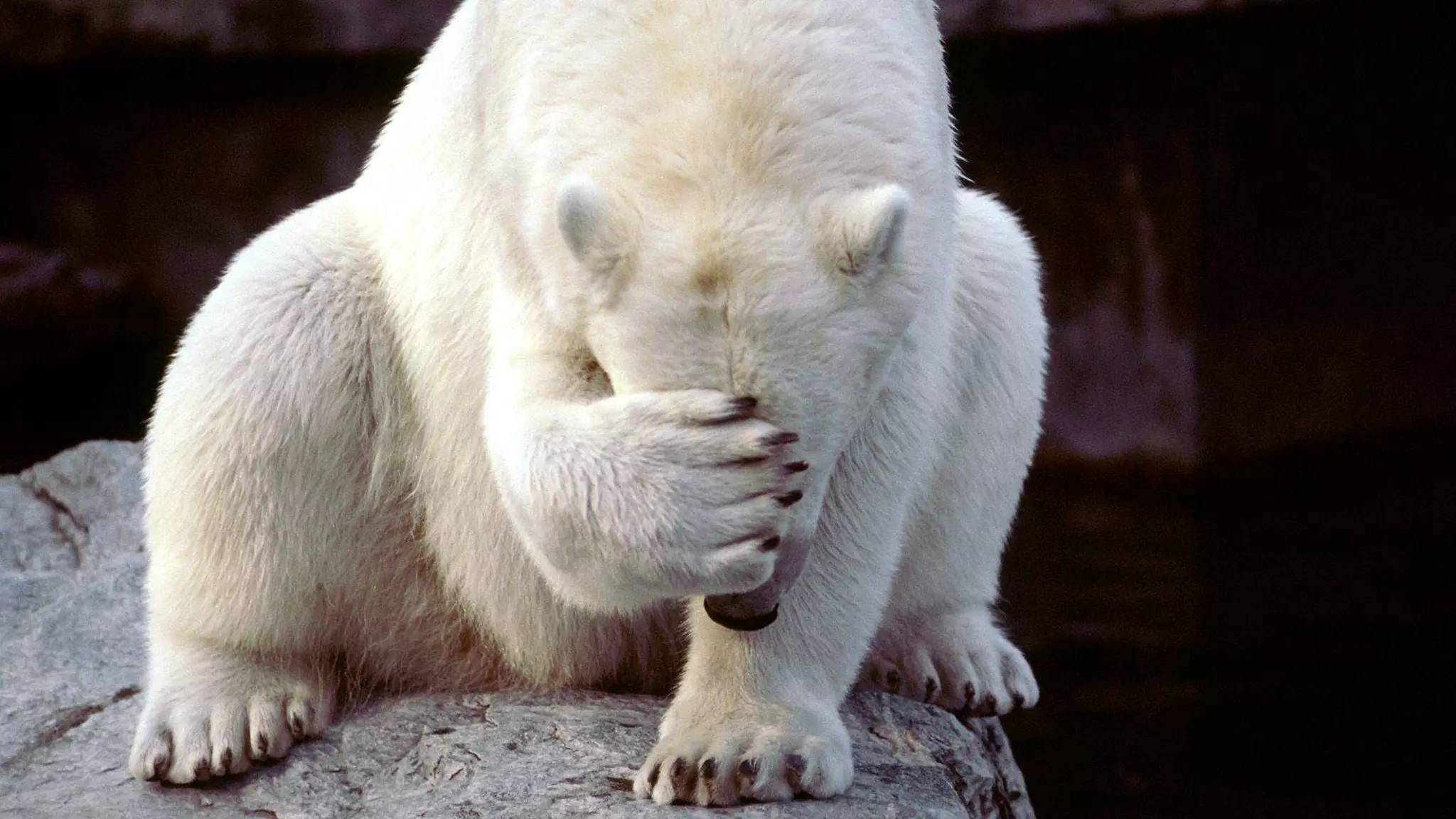 Build pipeline Deploying an productive app . . . from your local machine is like 