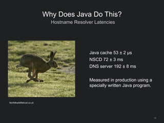 58
Why Does Java Do This?
Hostname Resolver Latencies
Java cache 53 ± 2 µs
NSCD 72 ± 3 ms
DNS server 192 ± 8 ms
Measured in production using a
specially written Java program.
Norfolkwildlifetrust.co.uk
 