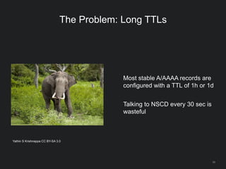 59
The Problem: Long TTLs
Most stable A/AAAA records are
configured with a TTL of 1h or 1d
Talking to NSCD every 30 sec is
wasteful
Yathin S Krishnappa CC BY-SA 3.0
 