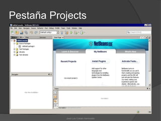 Pestaña Projects




           José Luis Cobián Hermosillo
 