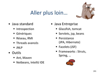 Aller plus loin…
• Java standard
 Introspection
 Génériques
 Réseau, RMI
 Threads avancés
 JNLP
• Outils
 Ant, Maven
 Netbeans, IntelliJ IDE
• Java Entreprise
 Glassfish, tomcat
 Servlets, jsp, beans
 Persistance
(JPA, Hibernate)
 Facelets (JSF)
 Frameworks : Struts,
Spring, …
241
 