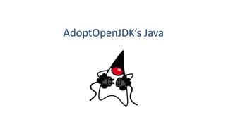 AdoptOpenJDK’s Java
 