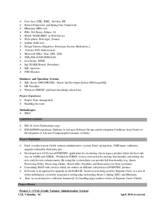 java web sphere developer resume