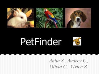 PetFinder
Anita S., Audrey C.,
Olivia C., Vivien Z.
 