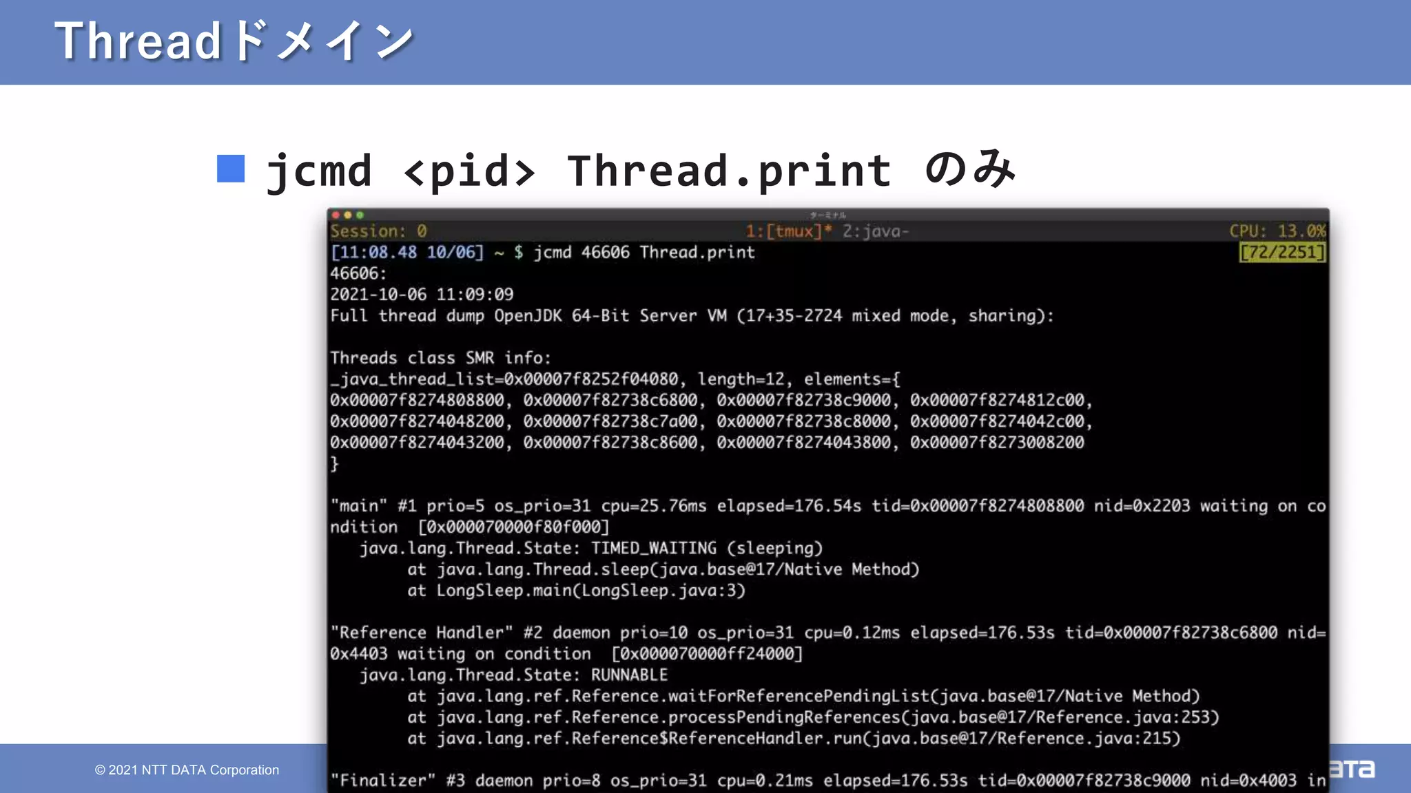 19
© 2021 NTT DATA Corporation
Threadドメイン
 jcmd <pid> Thread.print のみ
 
