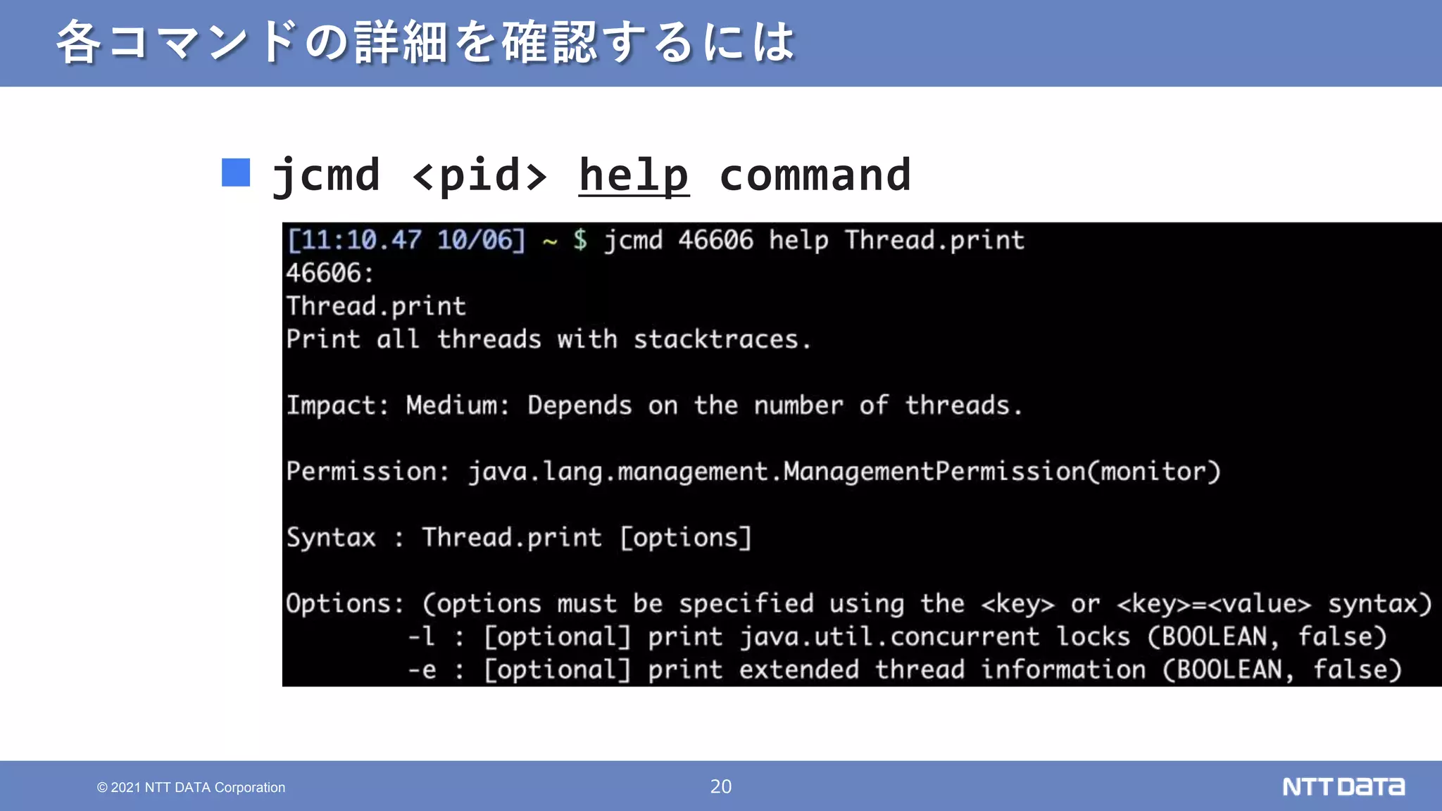 20
© 2021 NTT DATA Corporation
各コマンドの詳細を確認するには
 jcmd <pid> help command
 