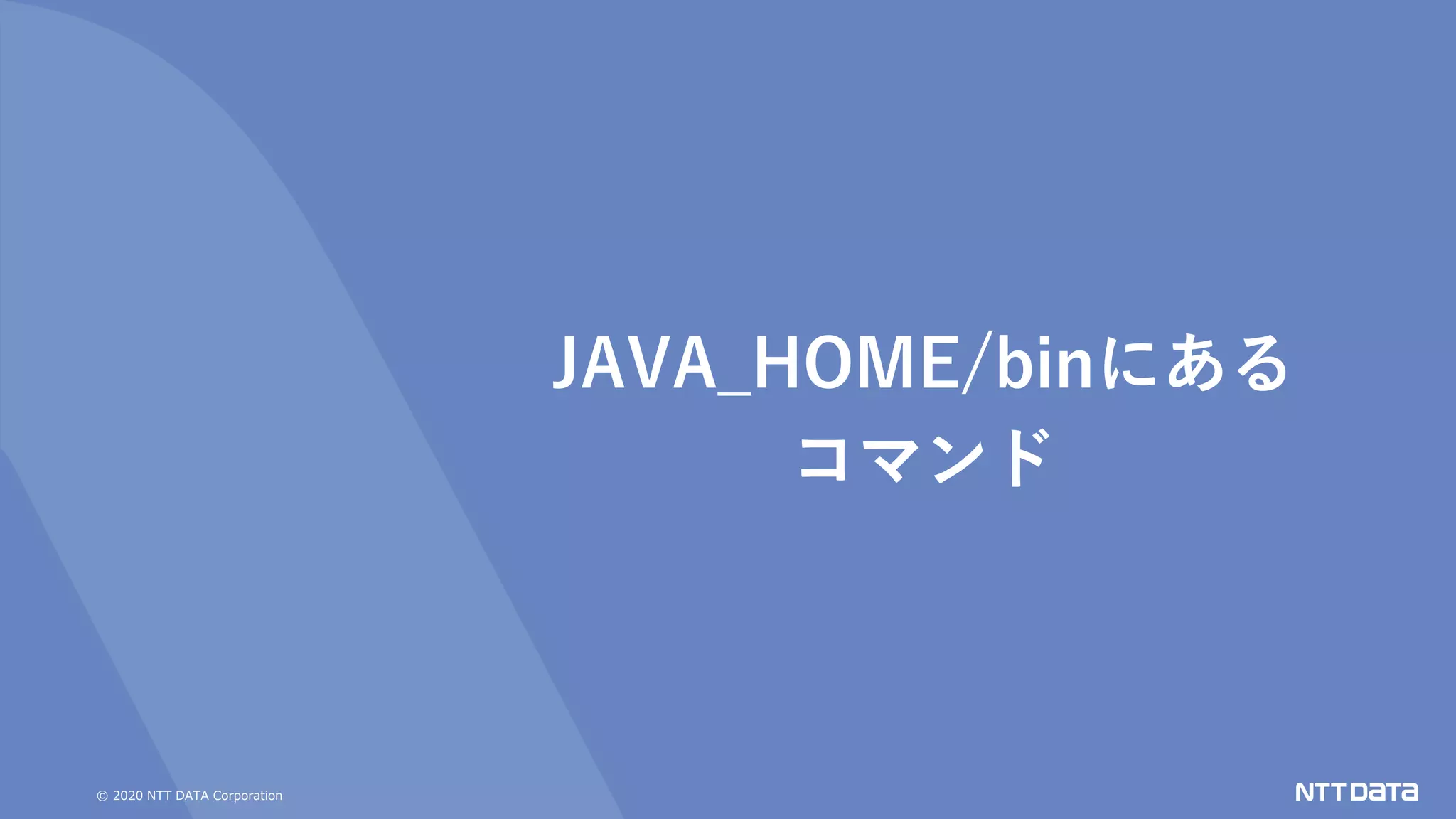 © 2020 NTT DATA Corporation
JAVA_HOME/binにある
コマンド
 