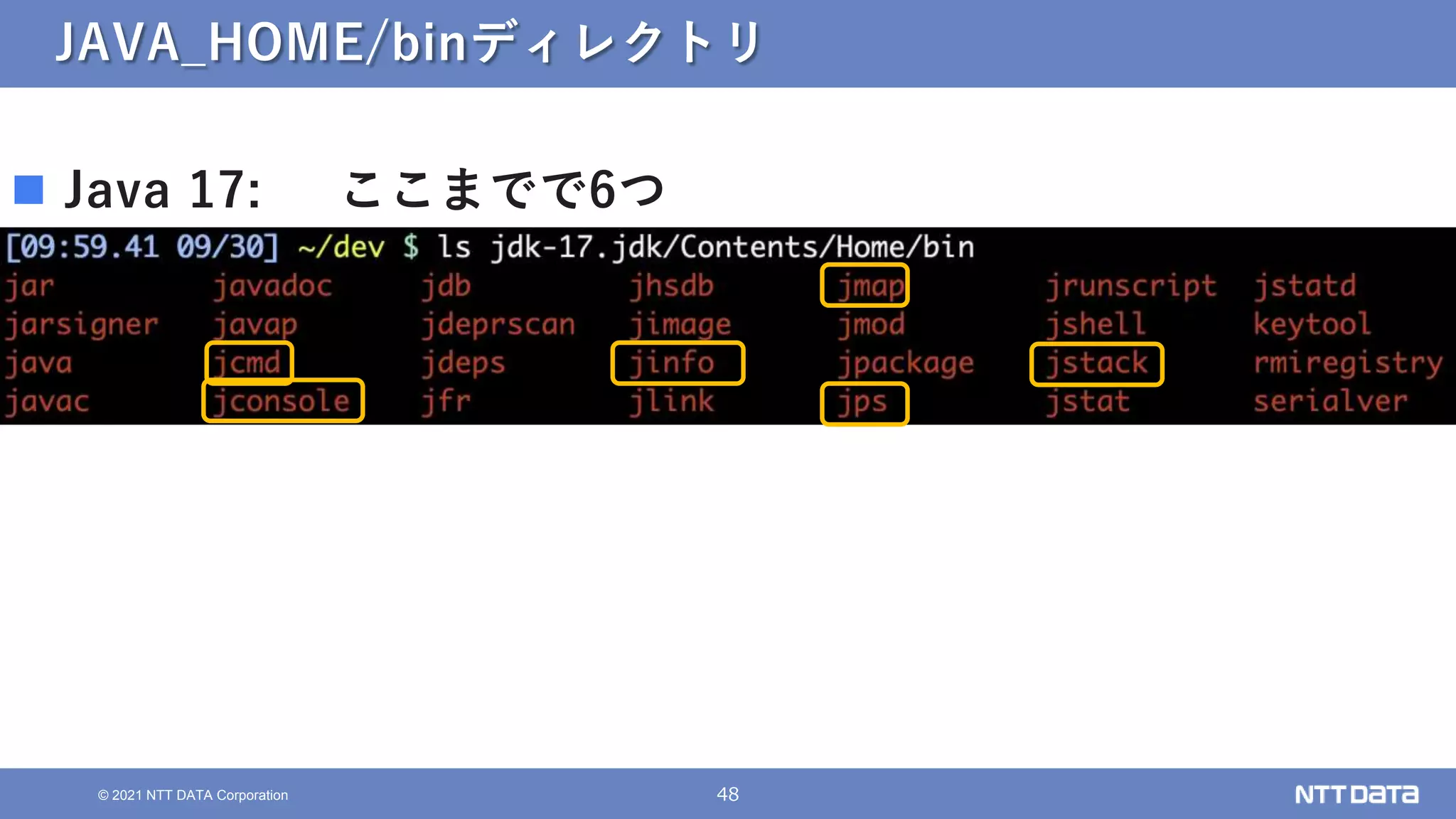 48
© 2021 NTT DATA Corporation
JAVA_HOME/binディレクトリ
 Java 17: ここまでで6つ
 