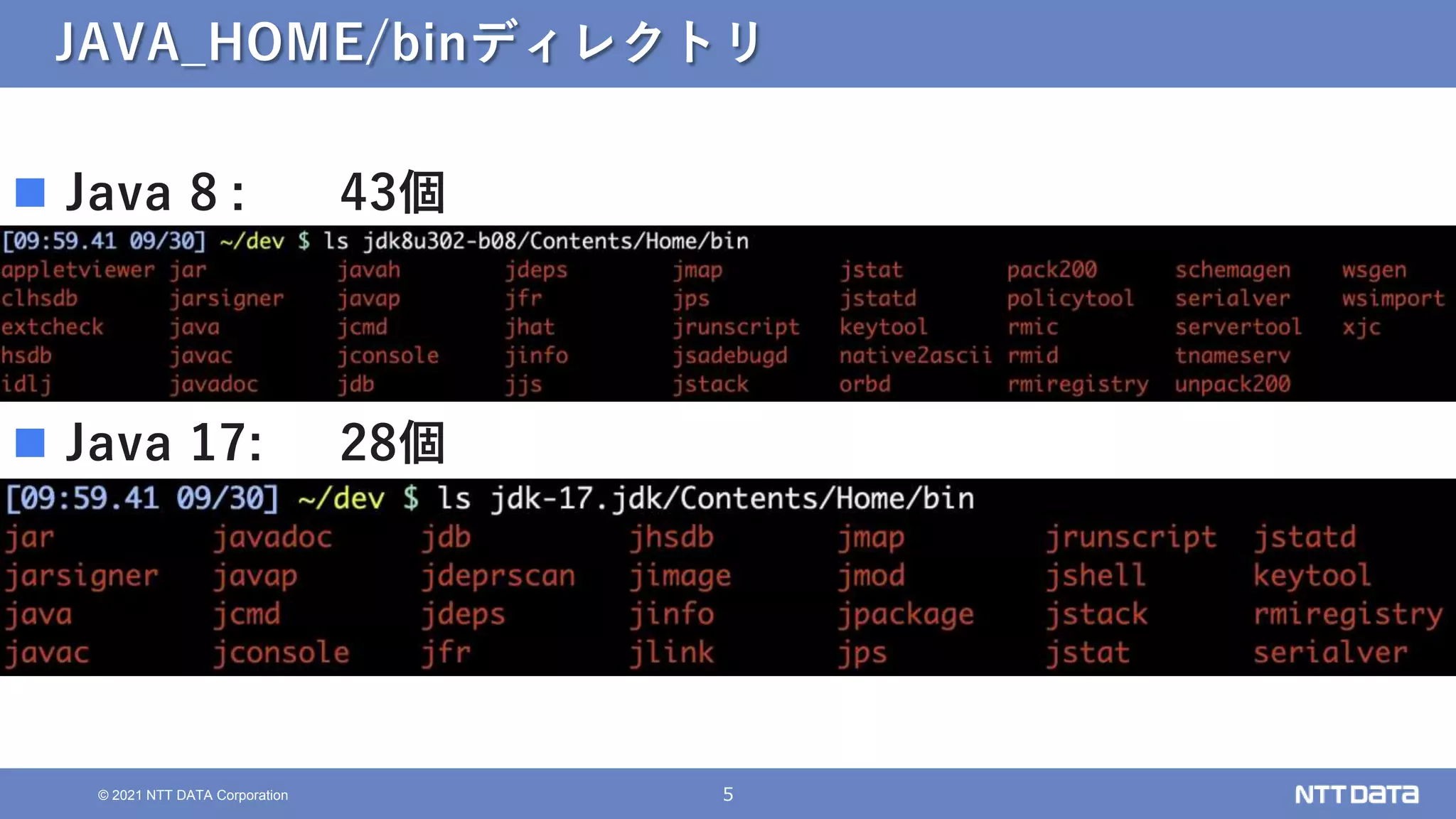 5
© 2021 NTT DATA Corporation
JAVA_HOME/binディレクトリ
 Java 8 : 43個
 Java 17: 28個
 