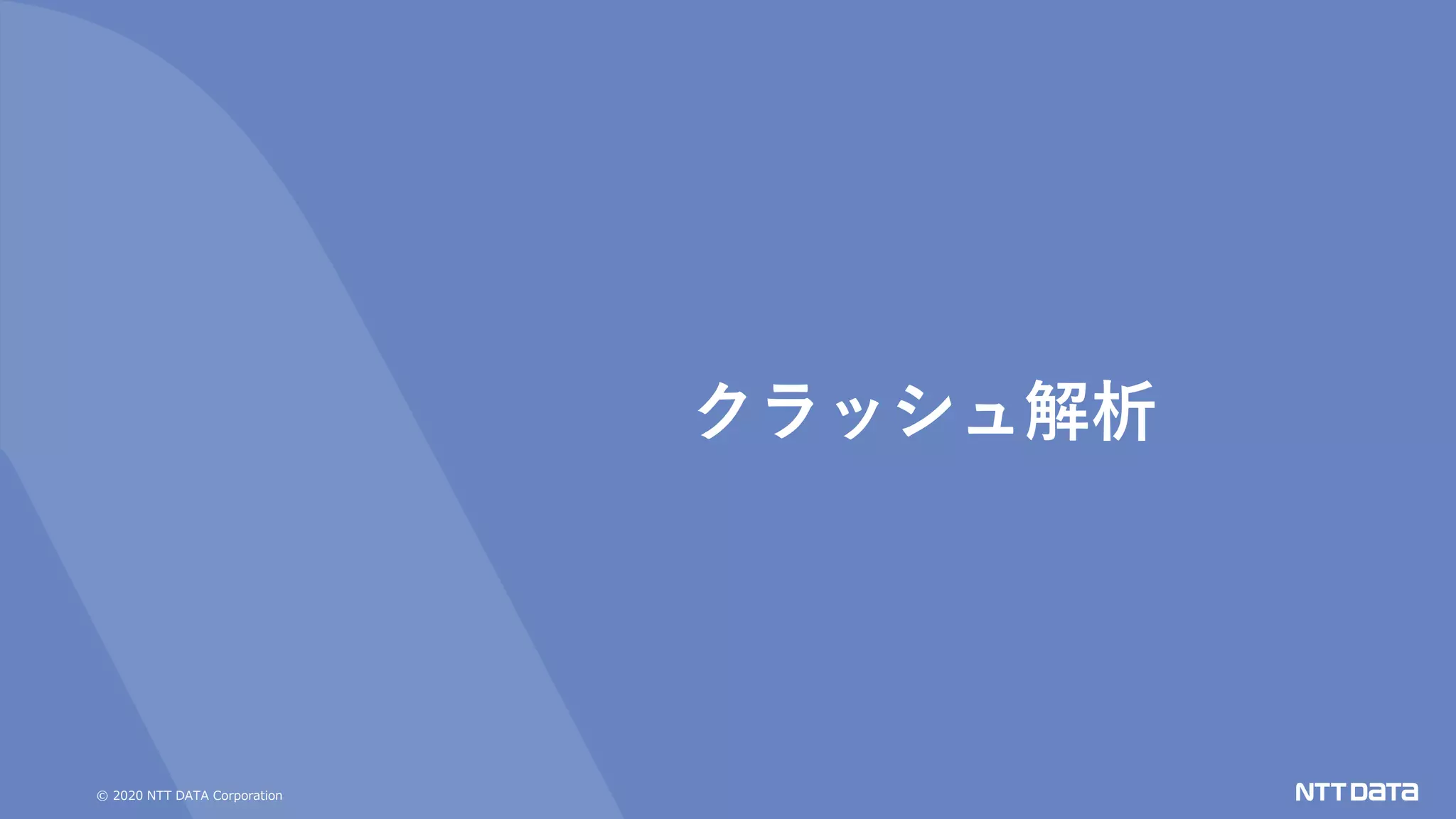 © 2020 NTT DATA Corporation
クラッシュ解析
 