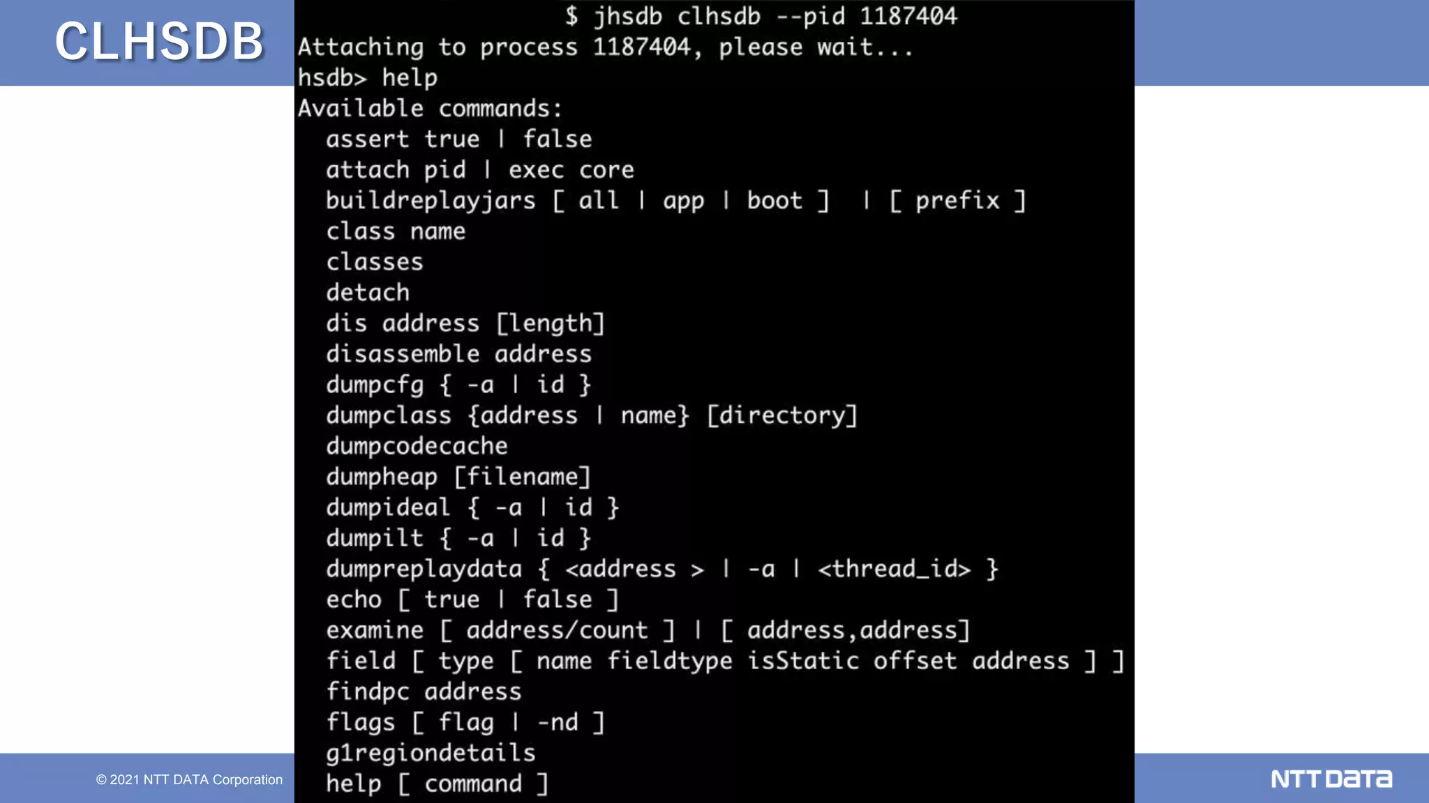 65
© 2021 NTT DATA Corporation
CLHSDB
 