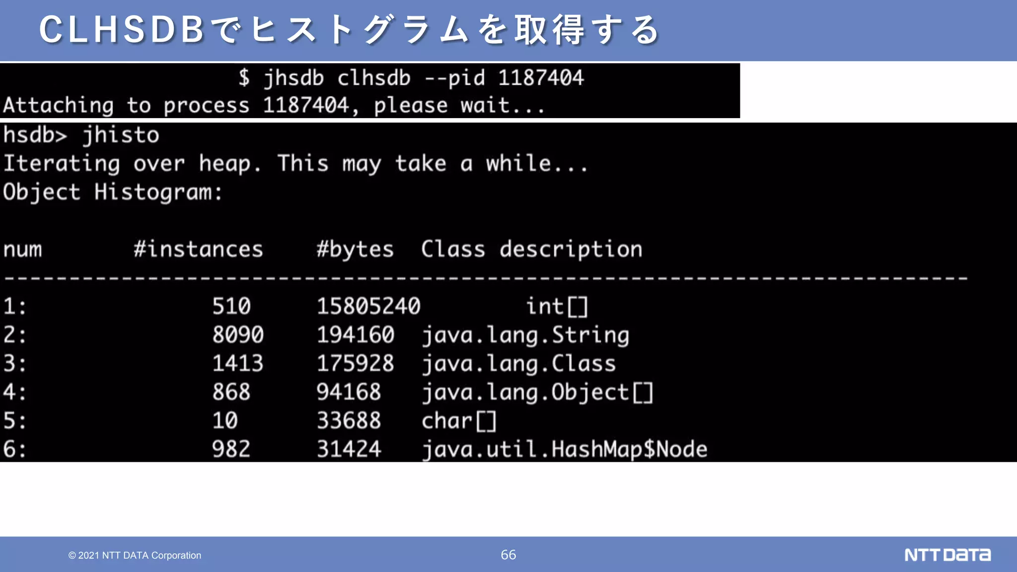 66
© 2021 NTT DATA Corporation
CLHSDBでヒストグラムを取得する
 