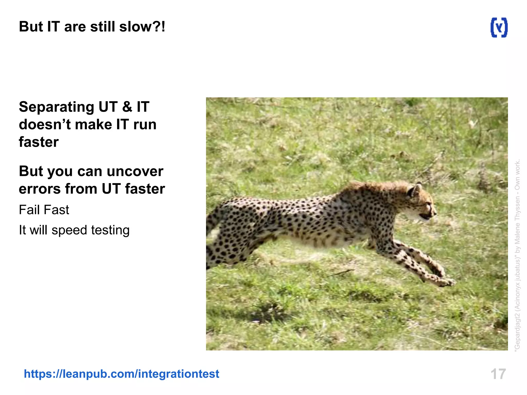 17https://leanpub.com/integrationtest
But IT are still slow?!
Separating UT & IT
doesn’t make IT run
faster
But you can uncover
errors from UT faster
Fail Fast
It will speed testing
"Gepardjagt2(Acinonyxjubatus)"byMaleneThyssen-Ownwork.
 