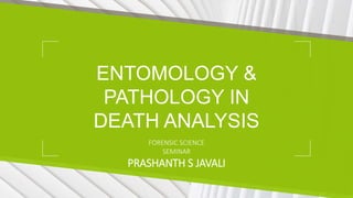 ENTOMOLOGY &
PATHOLOGY IN
DEATH ANALYSIS
FORENSIC SCIENCE
SEMINAR
PRASHANTH S JAVALI
 