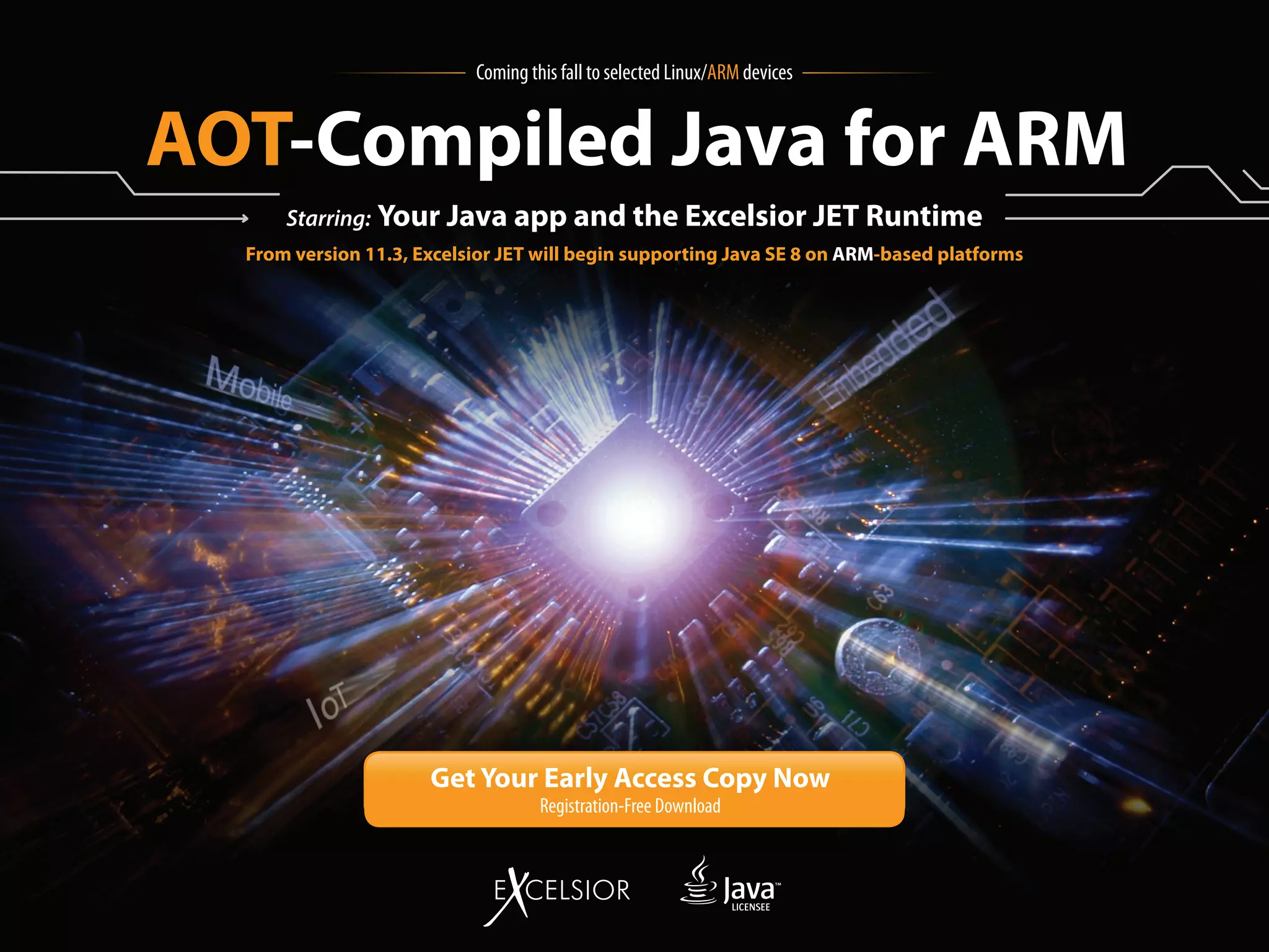 Coming this fall to selected Linux/ARM devices
AOT-Compiled Java for ARM
Starring: Your Java app and the Excelsior JET Runtime
From version 11.3, Excelsior JET will begin supporting Java SE 8 on ARM-based platforms
Get Your Early Access Copy Now
Registration-Free Download
LICENSEE
 