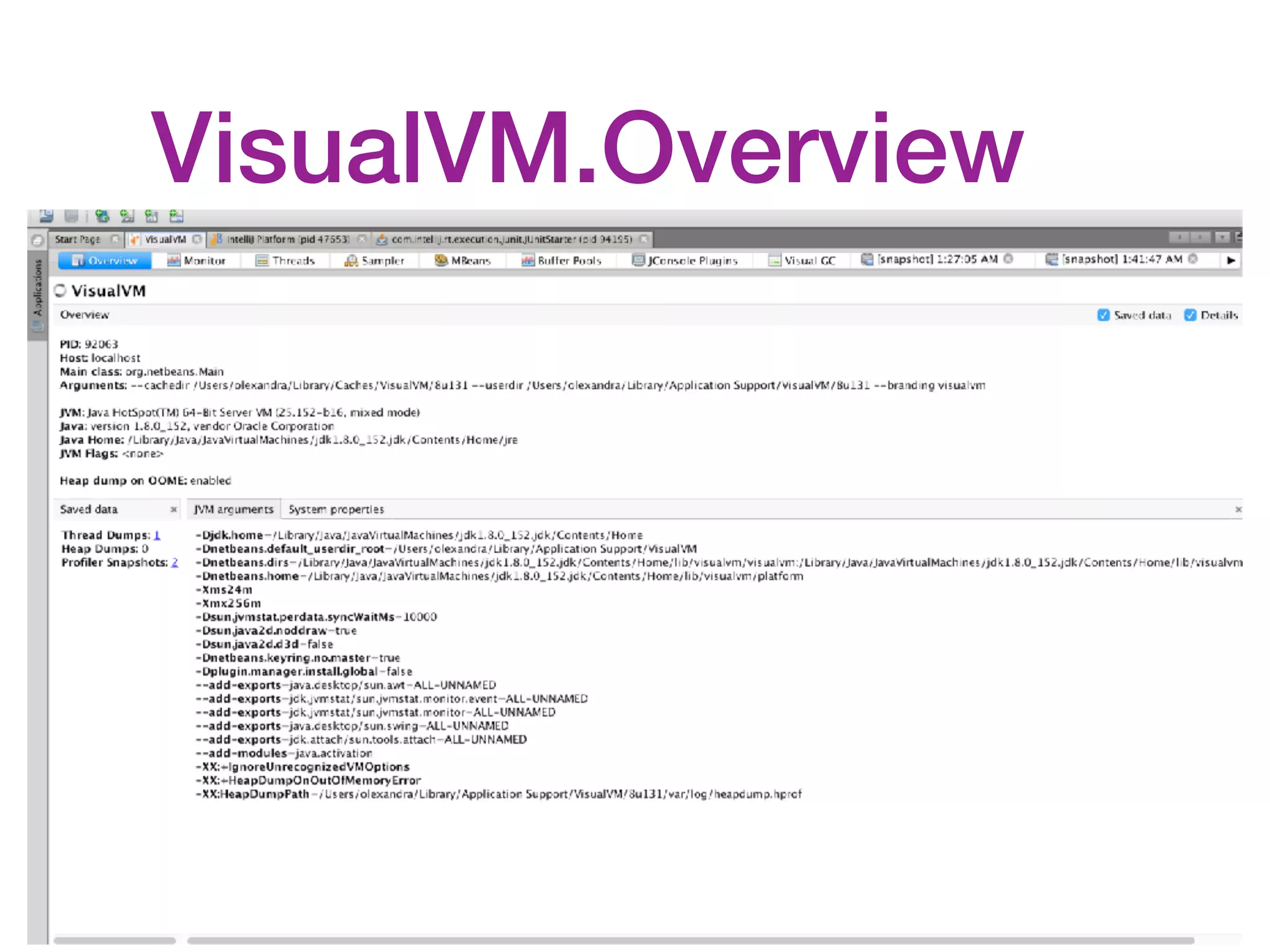VisualVM.Overview 