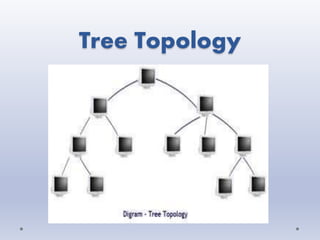 Network topology | PPTX