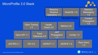 Javantura/ February 22th, 2020 / © 2020 IBM Corporation 28
MicroProfile 3.0 Stack
JSON-B 1.0JSON-P 1.1CDI 2.0
Config 1.3
Fault
Tolerance 2.0
JWT
Propagation
1.1
Health
Check 2.0
Metrics 2.0
Open Tracing
1.3
Open API 1.1
JAX-RS 2.1
Rest Client
1.3
Reactive
Streams
Operators 1.1
Reactive
Messaging
1.0
GraphQL 1.0
Context
Propagation
1.0
Standalone Projects
@Jamie_Lee_C
 