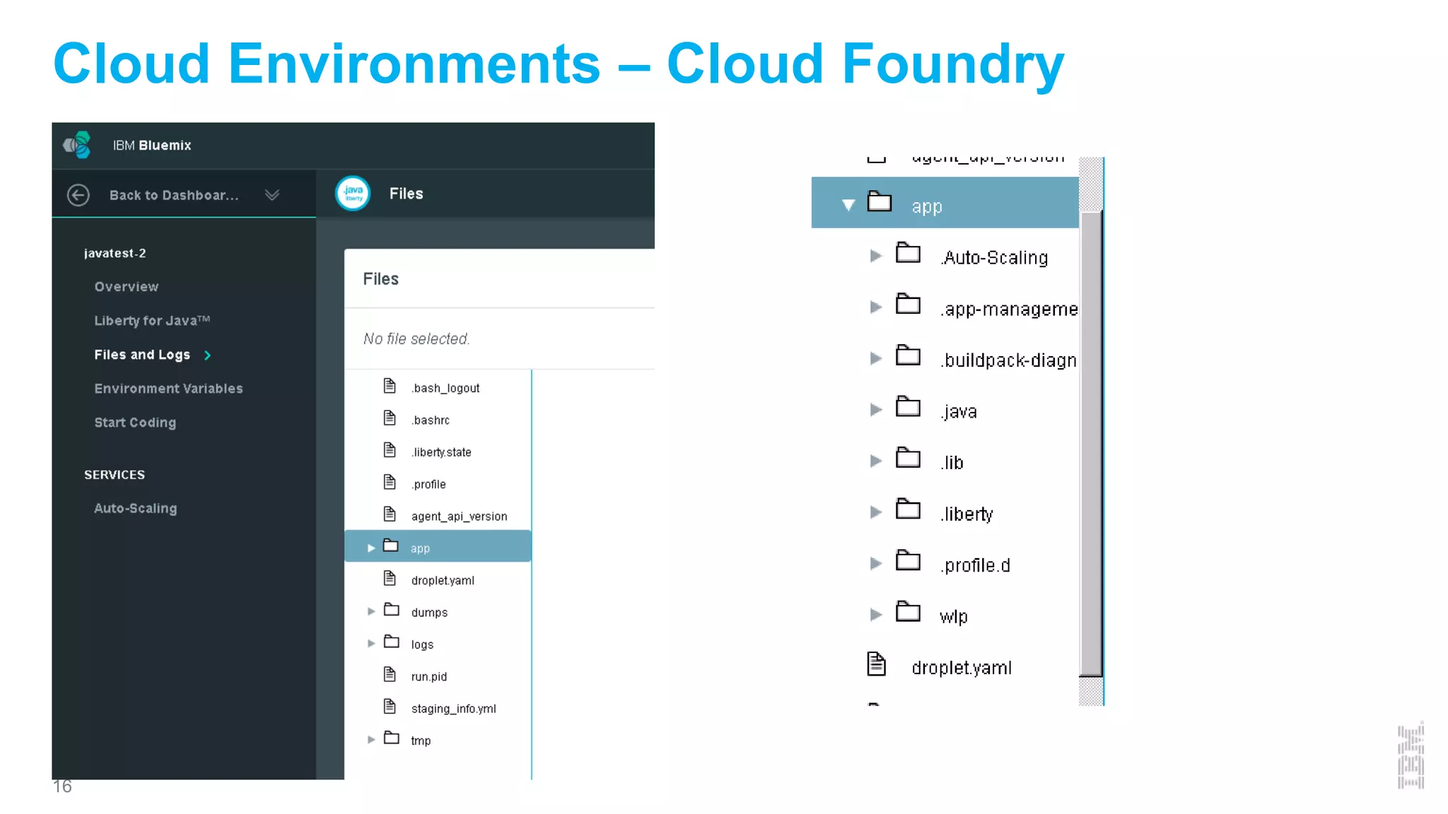 16
Cloud Environments – Cloud Foundry
 