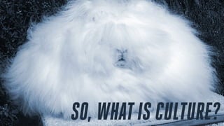 SO, WHATIS CULTURE?
 