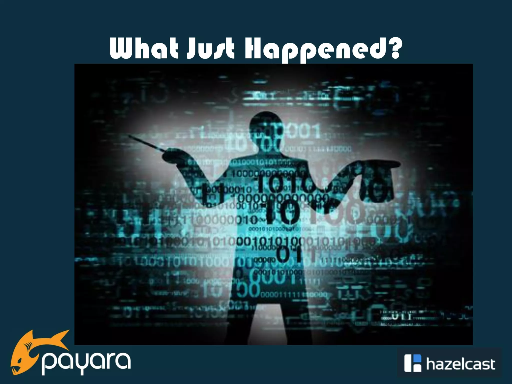 @payara_fish What Just Happened? 