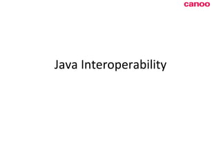 Java Interoperability 