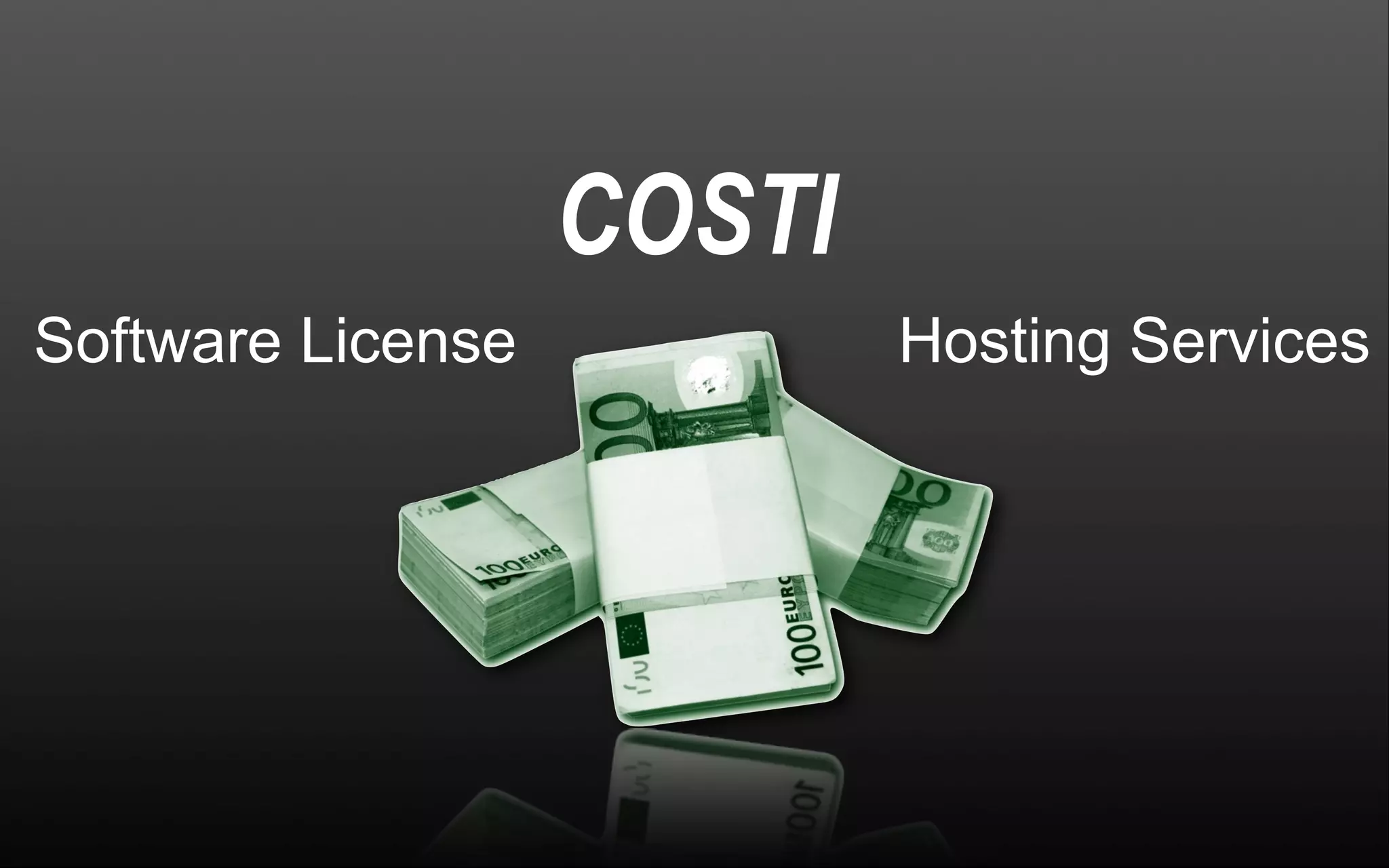 Software License COSTI Hosting Services 
