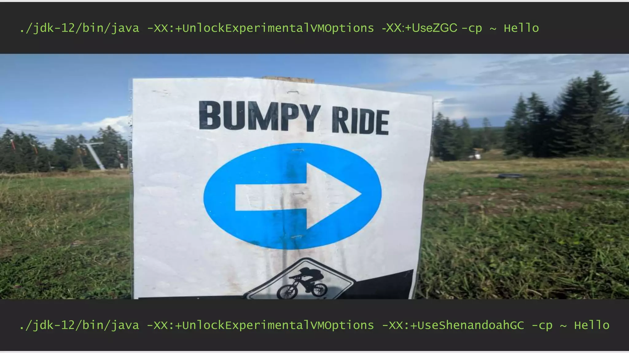 ./jdk-12/bin/java -XX:+UnlockExperimentalVMOptions -XX:+UseShenandoahGC -cp ~ Hello ./jdk-12/bin/java -XX:+UnlockExperimentalVMOptions -XX:+UseZGC -cp ~ Hello 