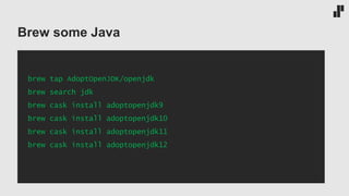 Brew some Java
brew tap AdoptOpenJDK/openjdk
brew search jdk
brew cask install adoptopenjdk9
brew cask install adoptopenjdk10
brew cask install adoptopenjdk11
brew cask install adoptopenjdk12
 