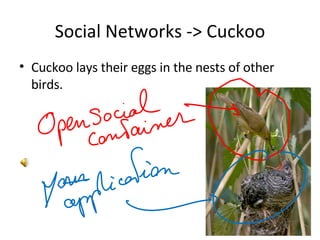 Social Networks -> Cuckoo Cuckoo lays their eggs in the nests of other birds. 