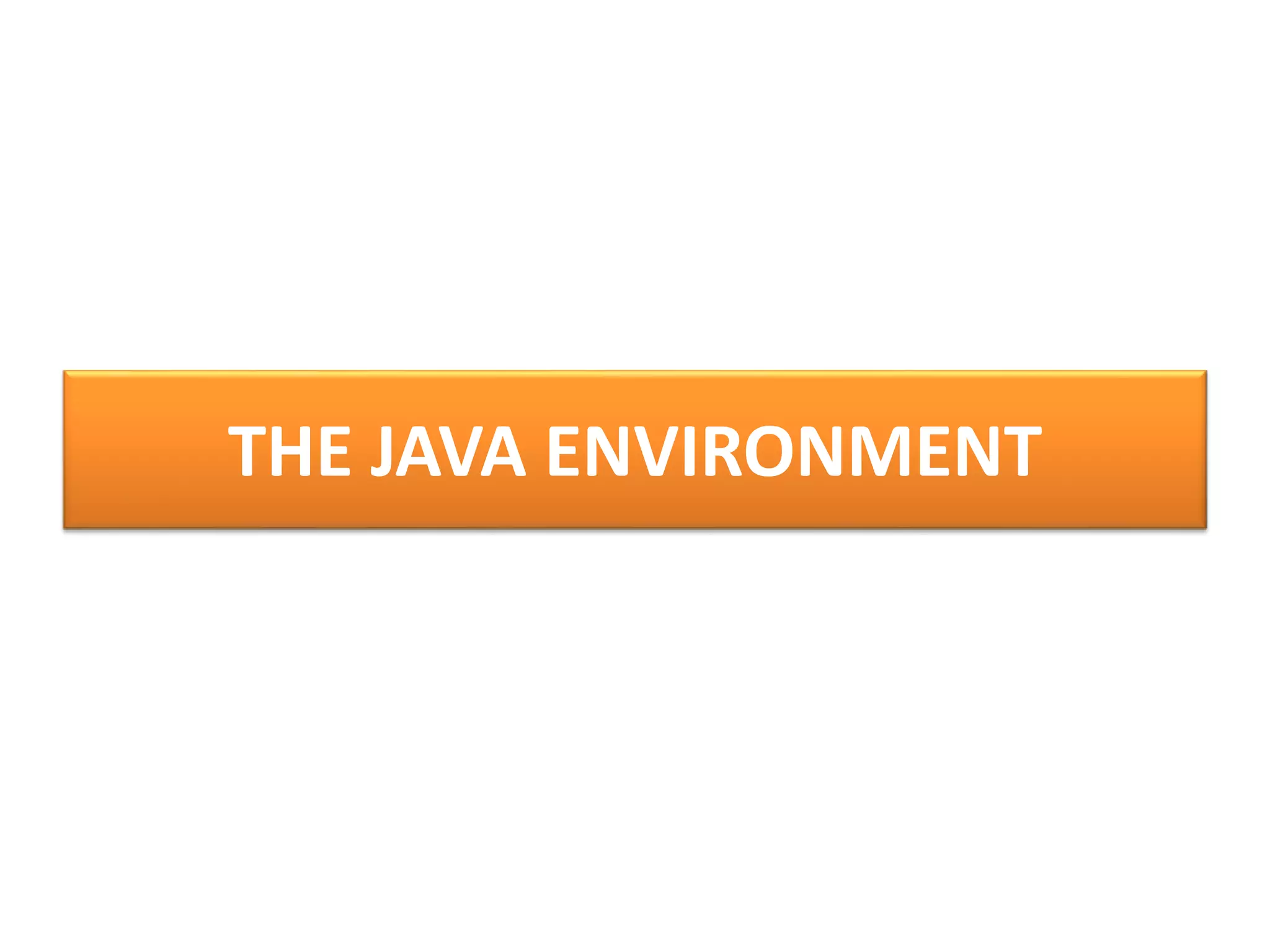 THE JAVA ENVIRONMENT
 