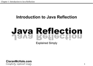 Java Reflection Explained Simply